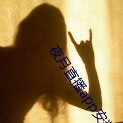 夜月直播app安裝黃