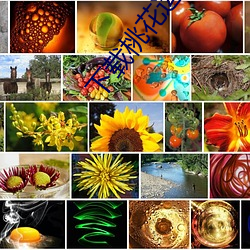 下载桃花(huā)运交友平(píng)台