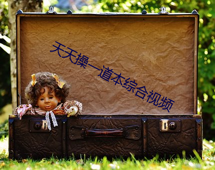 天天操一道本综合视频 （说古道今）