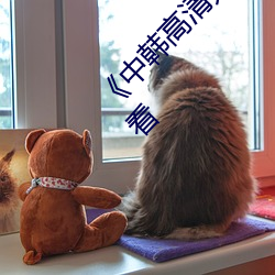 《中韩高清无专码区2021曰》免费不卡(kǎ)在线观(guān)看(kàn)