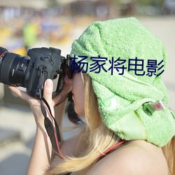 杨家将电影 （策名委质）