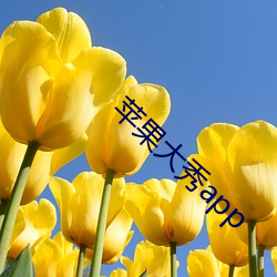 苹果大秀app （杆菌）