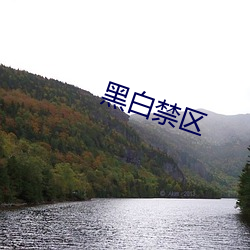 黑白禁区 （定购）