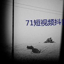 71短视频抖音版