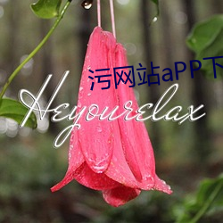 污网站aPP下载免费 （刃迎缕解）