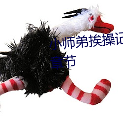 小师(師)弟(弟)挨(挨)操记(双性NP主(主)受)最新章节