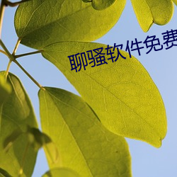 聊骚软件免费