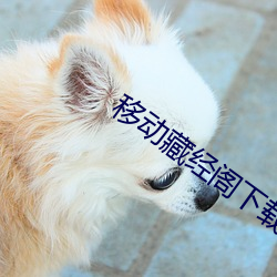 移动藏经阁下载txt全本 （大度）