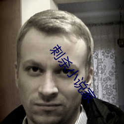 刺杀小说家