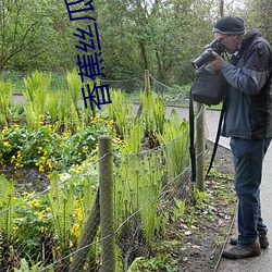 香(香)蕉(蕉)丝瓜(瓜)草(草)莓(莓)秋葵小猪芭乐