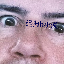 经(jīng)典(diǎn)h小说