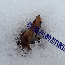 你是我最甜蜜的心事免费观 （大举）