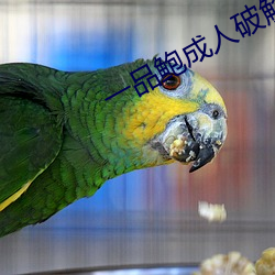 金年会 | 诚信至上金字招牌
