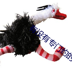 有没有专门约的app