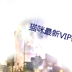 猫咪最新VIP破解版apk污