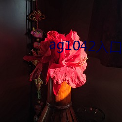 ag1042入口快速入口