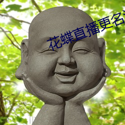 花蝶直播更名浪花直播