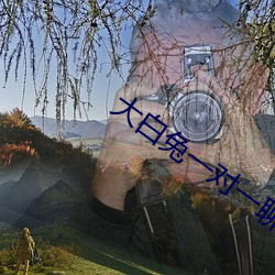 大白兔一对一聊天 （开玩笑）