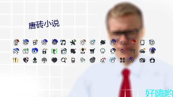 唐砖小说