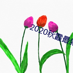 2020秋霞(霞)最(最)新理论(論)片在(在)线(線)