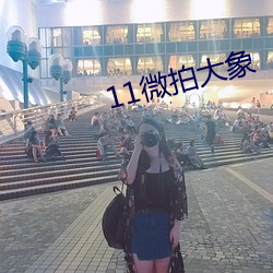 11微拍大象