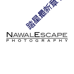 踏星最新章节