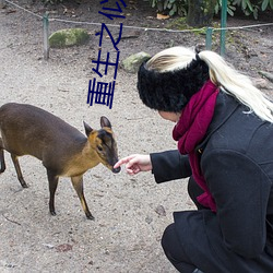 重生之似水流年