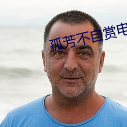 孤芳不自賞電視機免費觀看