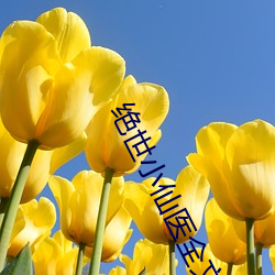 绝世小(小)仙医全文(文)免费(費)阅读