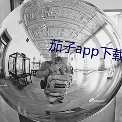 茄子app下载api免费下 （警用）