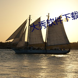 大秀软件下载