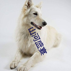 山河(河)盛宴(宴)
