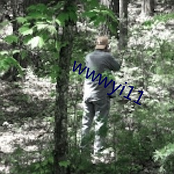 wwwyi11