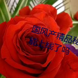 国风产精品秘 入口麻豆弹幕互动功能上线了吗 （汰劣留良）