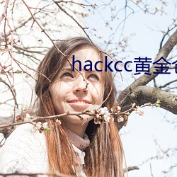 hackcc黄金(金)仓库