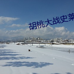 胡桃(táo)大(dà)战(zhàn)史莱(lái)姆在线视频(pín)