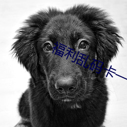 福利乱码卡一卡二卡新区
