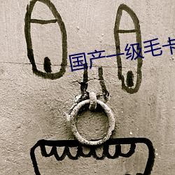 國産一級毛卡片免費不卡