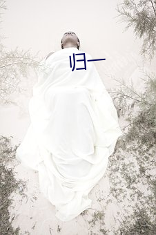 归(歸)一