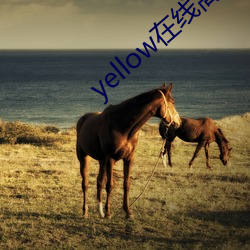 yellow在線高清完整免費