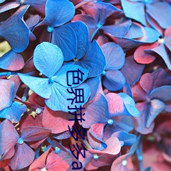色界拼多多app （气喘如牛）