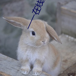 一一在线影院