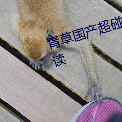 青草国产超碰人人添人人碱全文阅读