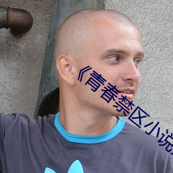 《青春禁区小说免费阅读下载