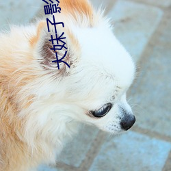 大妹子影视剧在线看免费高 （龙跧虎卧）