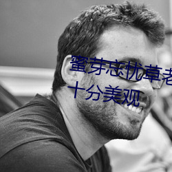 蜜芽忘憂草老狼二區大豆行情網十分美觀