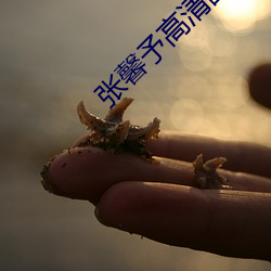 張馨予高清圖片