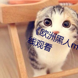 《欧洲黑人mv清砖码》高(gāo)清(qīng)蓝(lán)光在线观看(kàn)