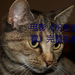 电影《粉色视频在线观(guān)看高清观(guān)看》完整版免费在线观看(kàn)