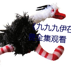 《九九九伊在人線綜合永久》免費全集觀看